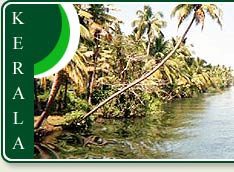 Canal in Alleppey