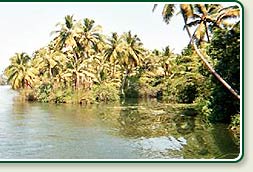 Canal in Alleppey