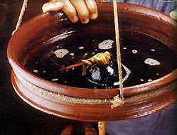 Ayurveda Treatment - Kerala