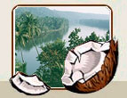 Kerala Tourism India