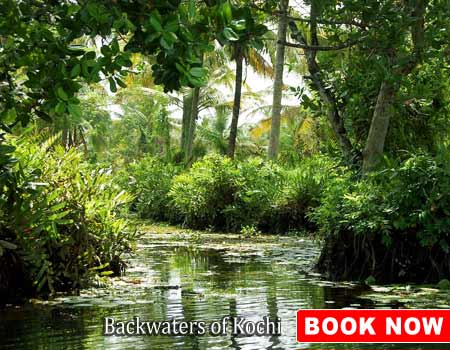 Backwaters of Kochi