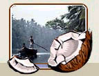 Kerala Tourism India