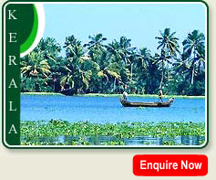 Boatman on Aalleppey Backwaters