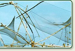 Chinese Fishing Nets - Cochin