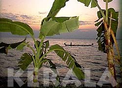 Coconut Lagoon Heritage