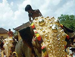 Decorated Elephant of Shiva during Kerala Festival