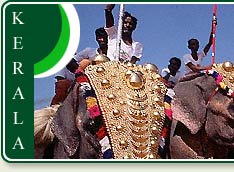 Elephants are revered in Kerala during special festivals like famous Pooram Festival