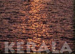 Fisherman on Backwater Lagoon - Kerala