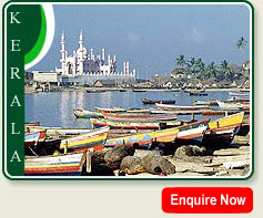 Fishing Boats in Trivandrum Harbor