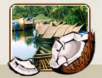 Kerala Tourism India