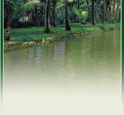 Kerala Tourism India