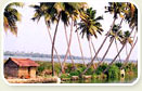 Kerala at its Best 