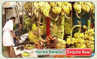 Kerala Banana