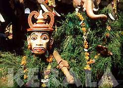 Decorated Elephants During Kerala Festival