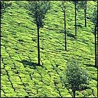 Kerala Tourism India