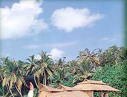 Kerala Rice Boat