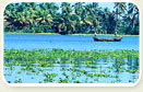 Kerala Tour Package 