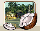 Kerala Tourism India