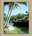 Kerala Backwaters