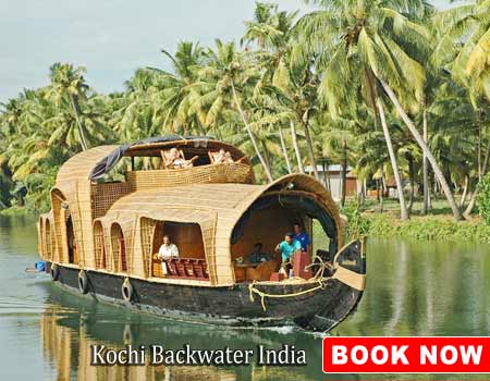Kochi Backwater India
