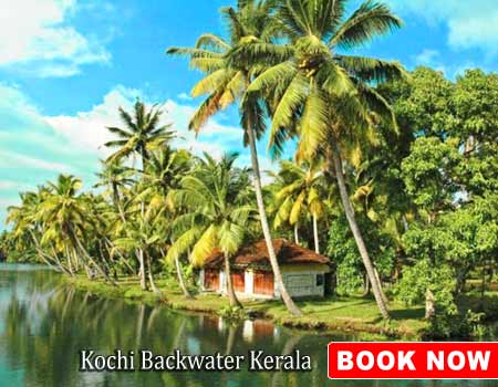 Kochi Backwater Kerala