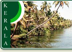 Kollam Backwaters 