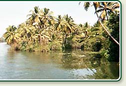 Kollam Backwaters 