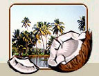 Kerala Tourism India