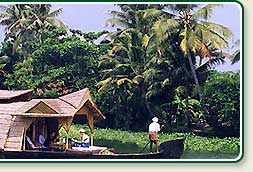 Kumarakom Backwaters