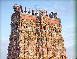 Shri Meenakshi Temple