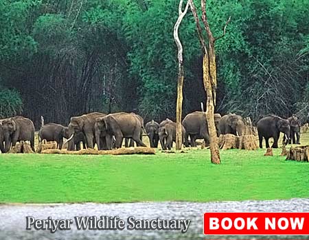 Periyar Wildlife Sanctuary