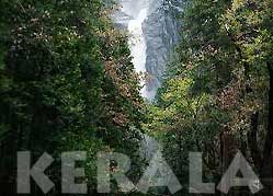 Beauty of Kerala