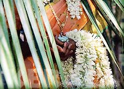 South Indian Bride - Kerala