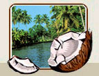 Kerala Tourism India