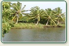 Kerala