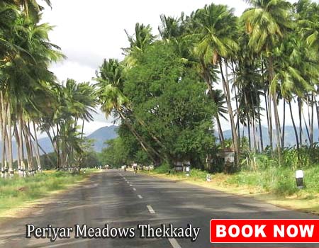 Periyar Meadows Thekkady