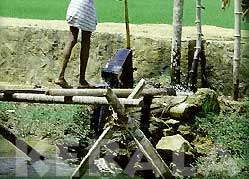 Working man in fields